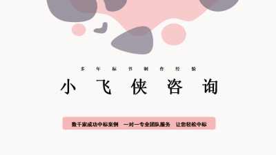 河南小飛俠企業(yè)管理咨詢公司 專業(yè)助力企業(yè)騰飛的智慧伙伴