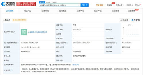 社會(huì)經(jīng)濟(jì)咨詢服務(wù) 驅(qū)動(dòng)現(xiàn)代商業(yè)決策與發(fā)展的隱形引擎